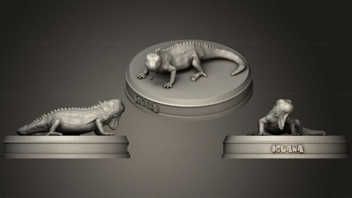 Статуэтки животных (Игуана, STKJ_1087) 3D модель для ЧПУ станка